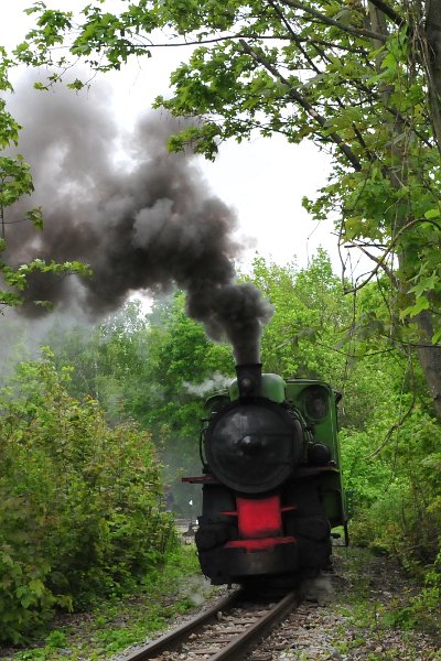 ČKD BS80 von Zastávka u Brna nach Důl Jindřich (13)